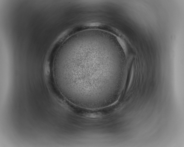 X0000113560731200909251058