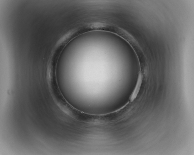 X0000113560732200909251058