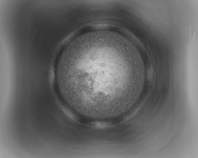 X0000113560733200909251058