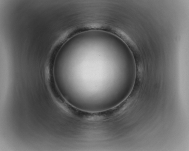 X0000113560734200909251058