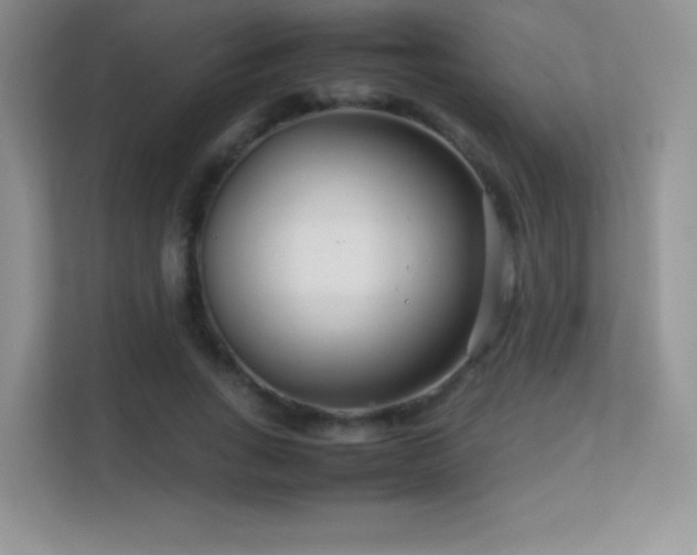 X0000113560735200909251058