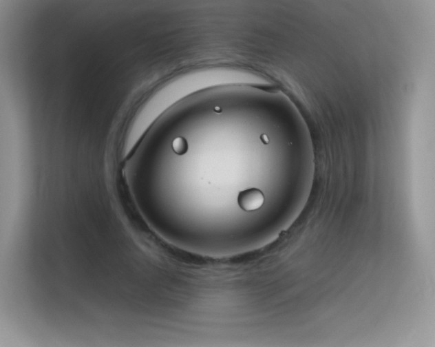 X0000113560736200909251058