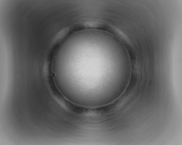 X0000113560738200909251058
