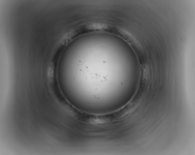 X0000113560739200909251058