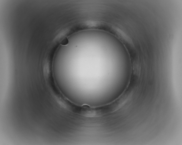 X0000113560740200909251058