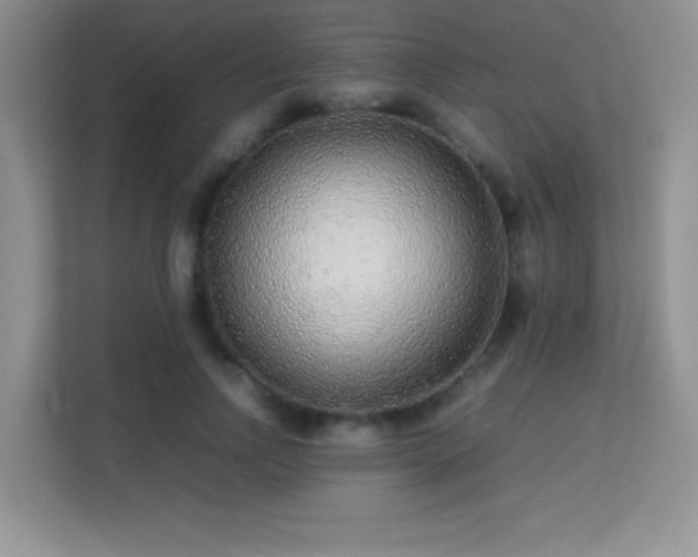 X0000113560742200909251058