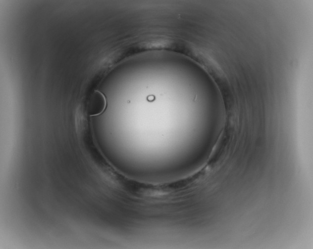 X0000113560743200909251058