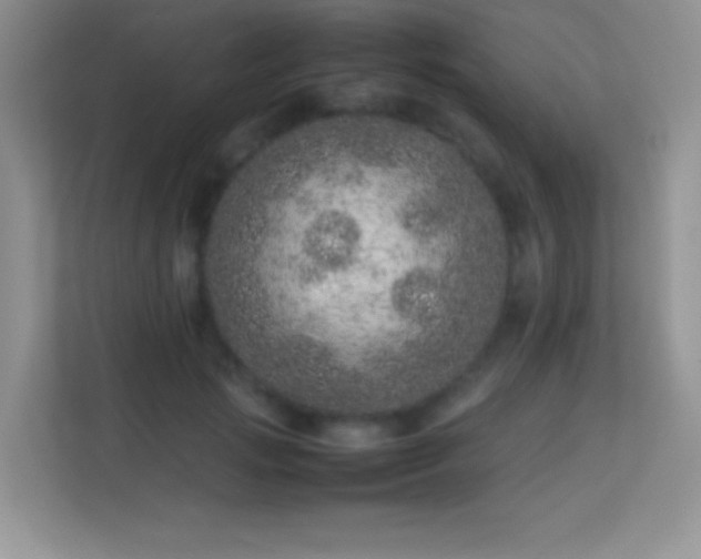 X0000113560749200909251058