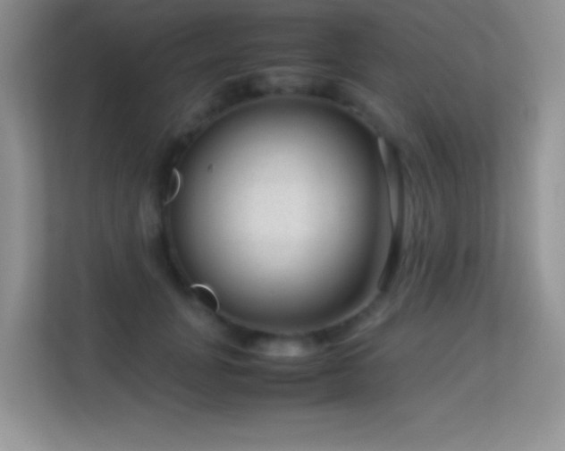 X0000113560751200909251058