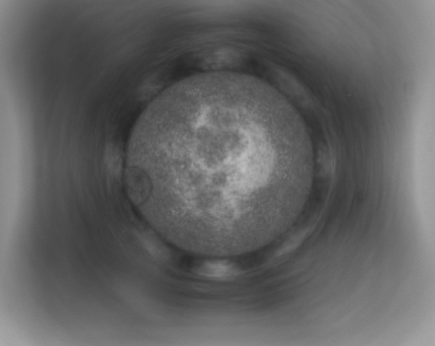 X0000113560753200909251058