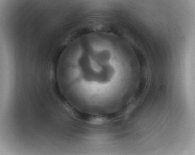 X0000113560754200909251058