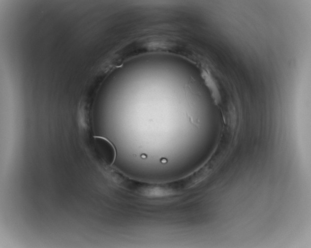 X0000113560755200909251058