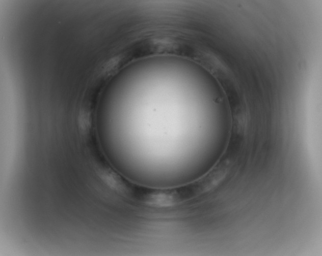 X0000113560756200909251058