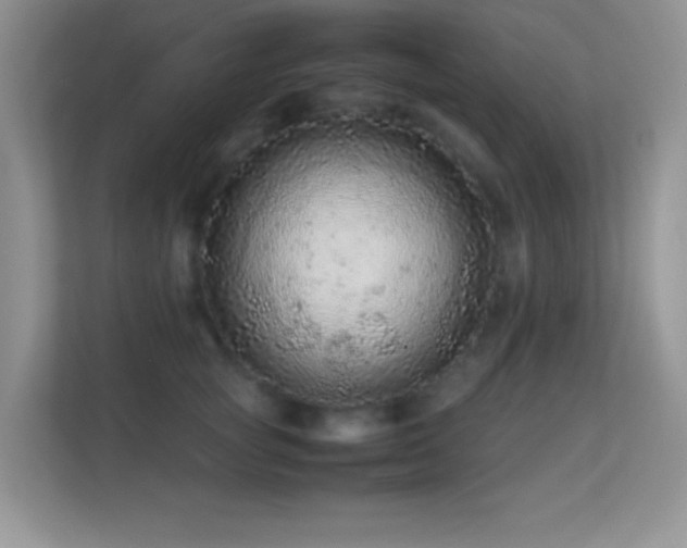 X0000113560757200909251058