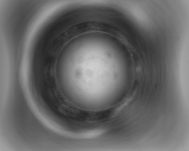 X0000113560765200909251058