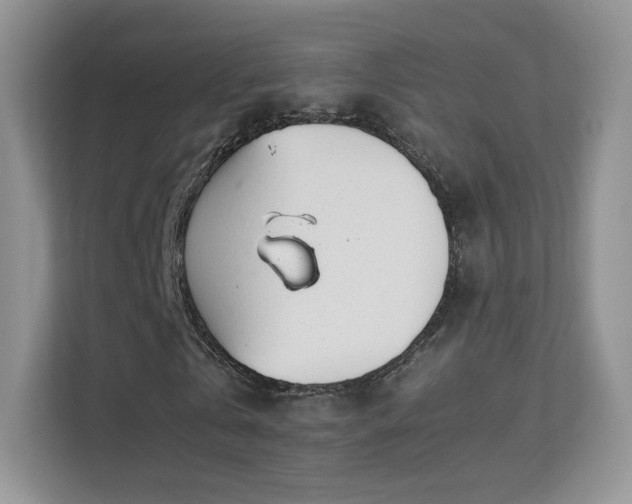 X0000113560769200909251057