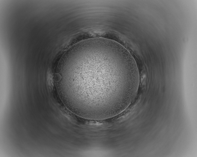 X0000113560772200909251057