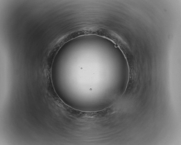X0000113560773200909251057