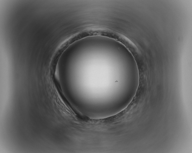 X0000113560775200909251057