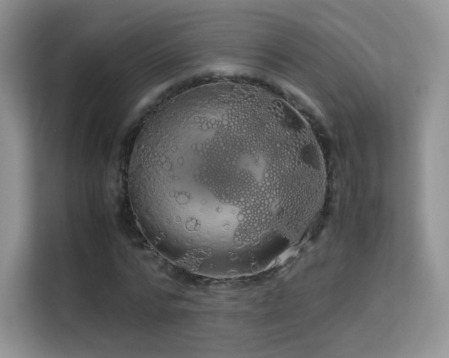 X0000113560776200909251057