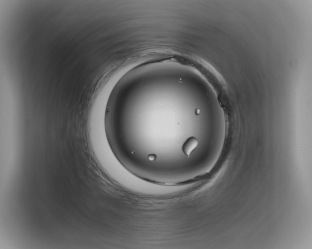 X0000113560777200909251057