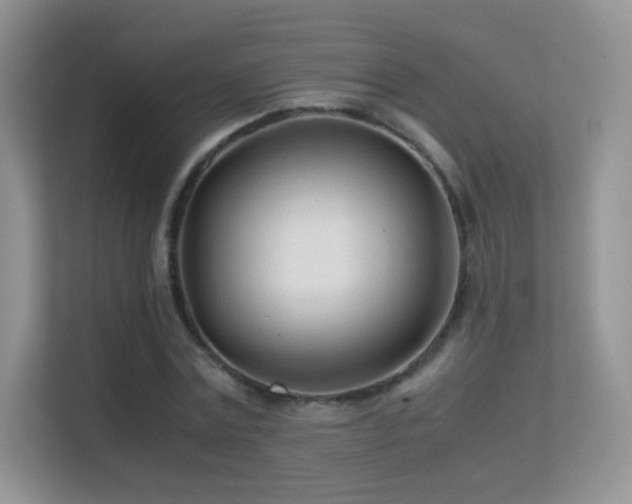 X0000113560779200909251057