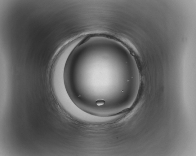 X0000113560781200909251057