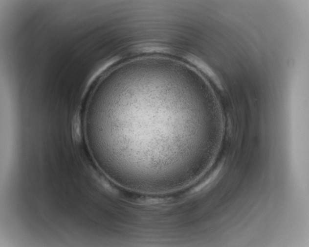 X0000113560782200909251057