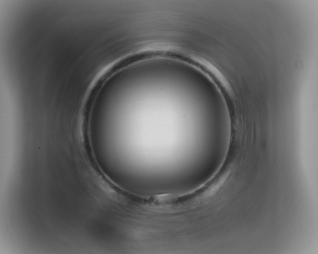 X0000113560783200909251057