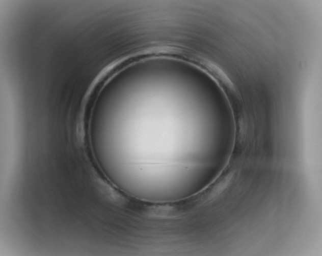 X0000113560784200909251057