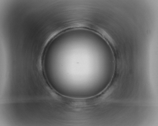 X0000113560789200909251057