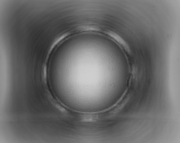 X0000113560790200909251057