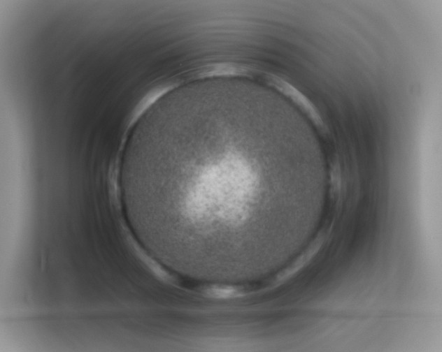 X0000113560794200909251057