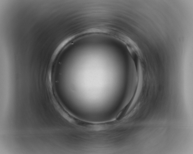 X0000113560796200909251057