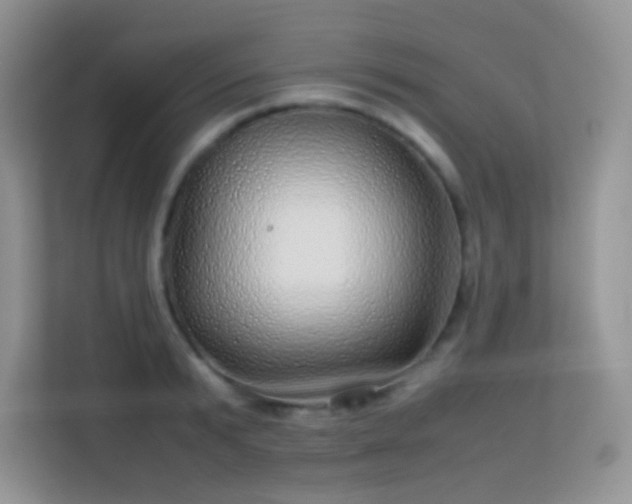 X0000113560799200909251057