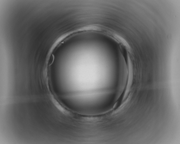X0000113560800200909251057