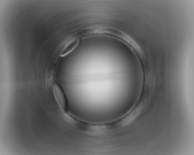 X0000113560801200909251057