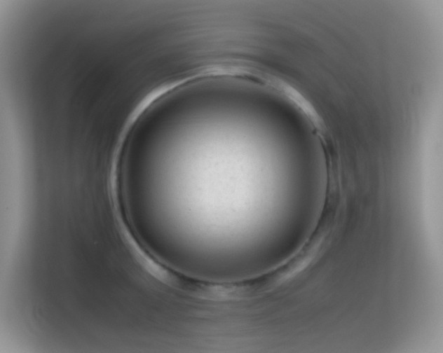 X0000113560803200909251057
