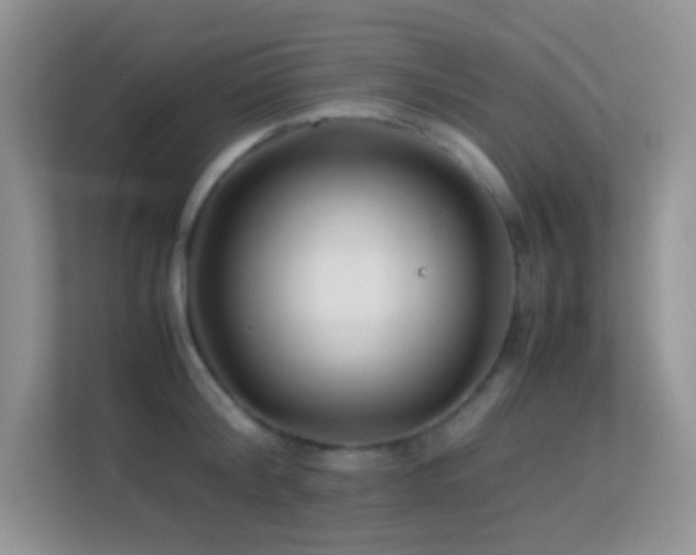 X0000113560804200909251057