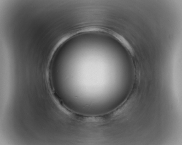X0000113560805200909251057