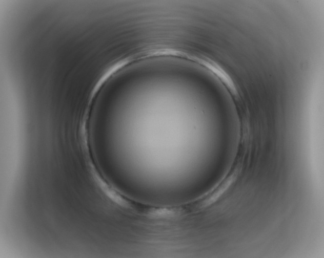 X0000113560806200909251057