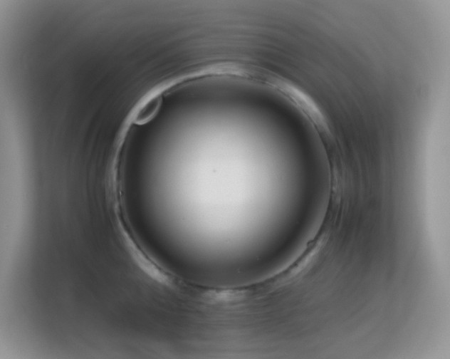 X0000113560808200909251057