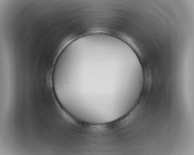 X0000113560810200909251057