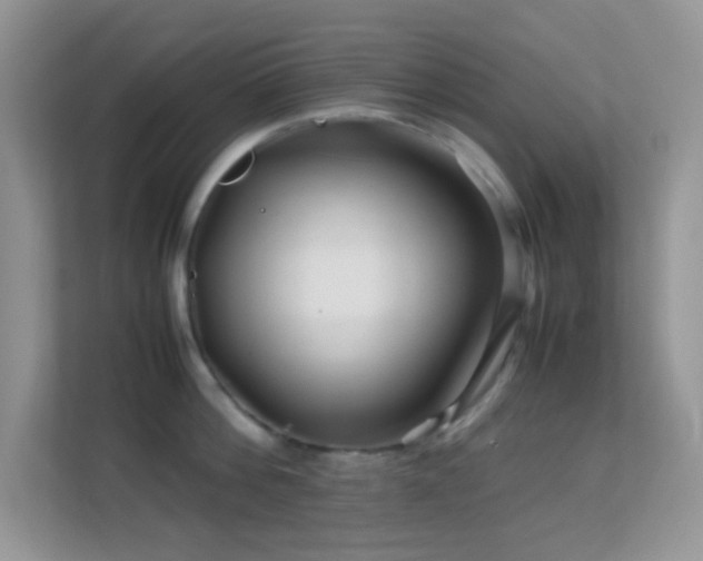 X0000113560812200909251057