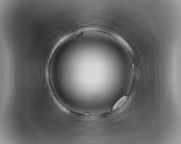 X0000113560813200909251057