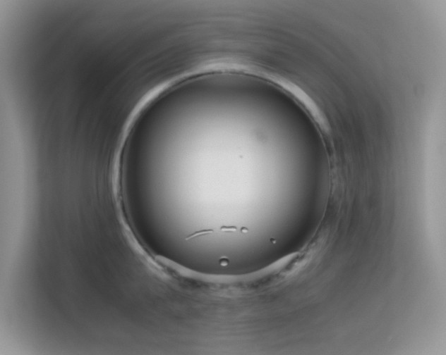 X0000113560815200909251057