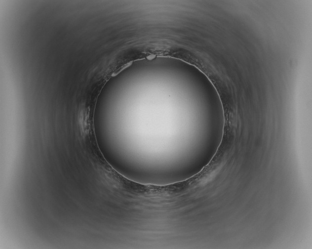 X0000113560818200909251056