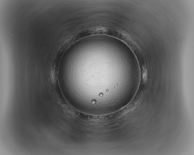 X0000113560819200909251056