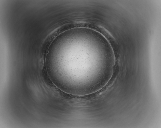 X0000113560821200909251056