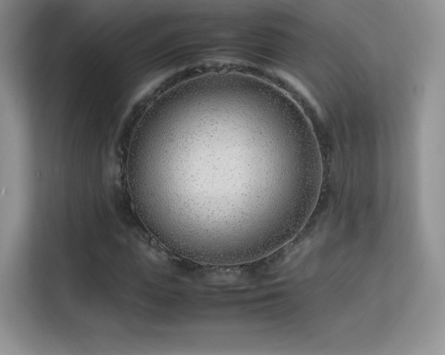 X0000113560823200909251056